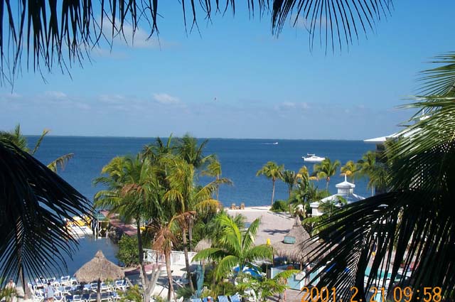 Florida Bay side of Key Largo, as seen from our suite