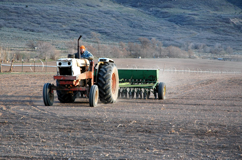 Farming2857.jpg