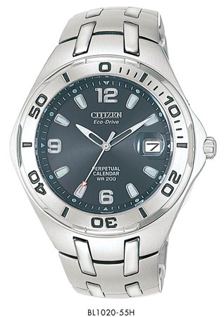 Citizen BL1020-55H.  Price: $350.