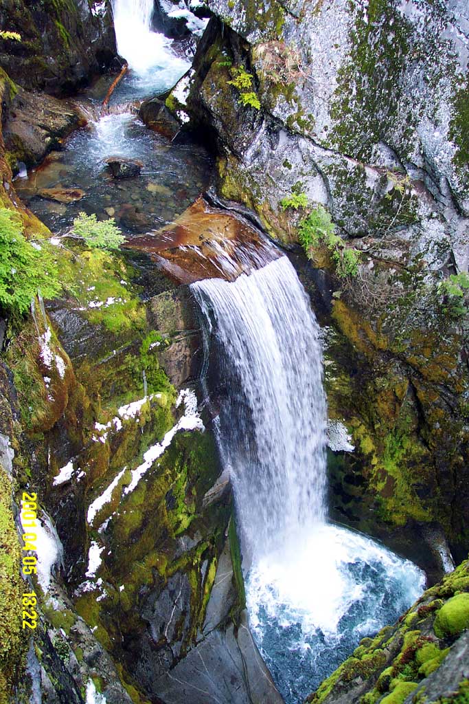 Christine Falls reminds you of something out of the Australian outback and Survivor