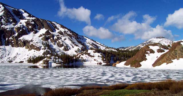 Very cold mountain lake near Tioga Pass